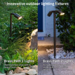 12w dual head brass path light 24v rgbw mr16 landscape spotlight | gouly