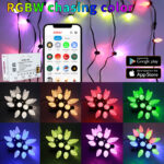 glmd193 36v black rgbwic permanent outdoor lights, ip68 smart app cloud control | gouly