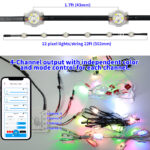 36v rgbwic permanent outdoor pixel lights ip68 smart app control roofline lighting | gouly